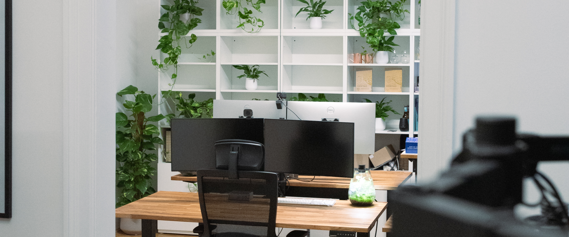 Sushi Dev Office / Vienna